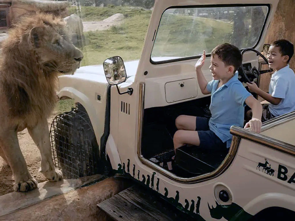 bali zoo animal education