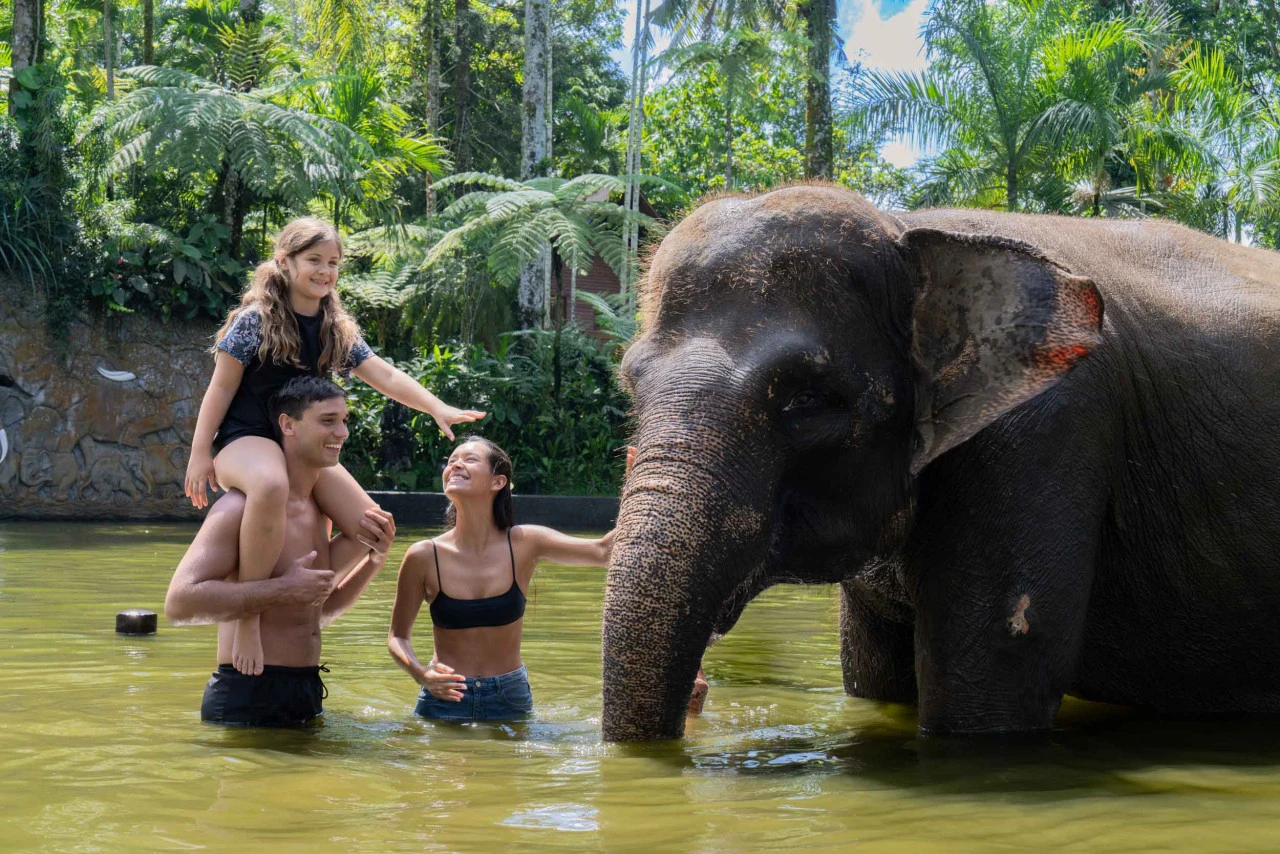 fun elephant bath time