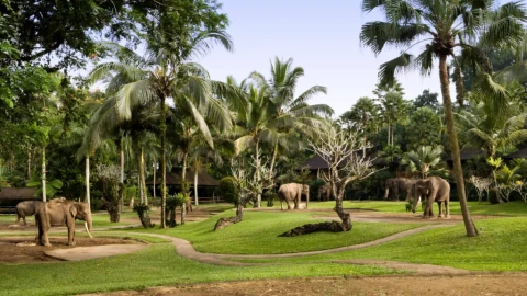 mason elephant park