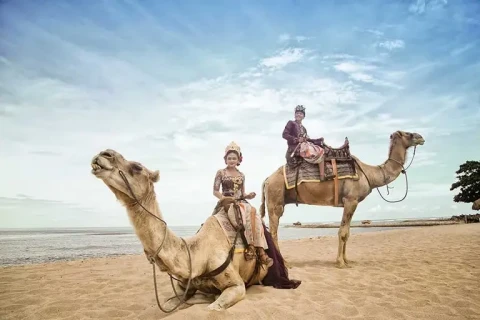 romantic camel photo wedding at hilton beach