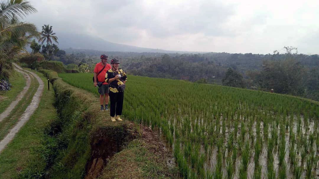 jatiluwih cycling track