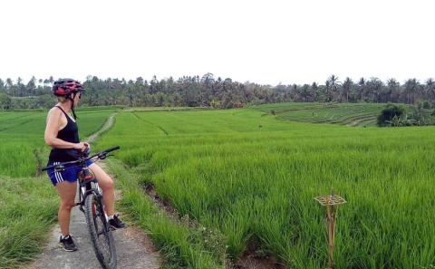 jatiluwih rice fields view
