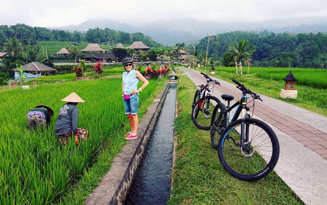 jatiluwih farmer activities
