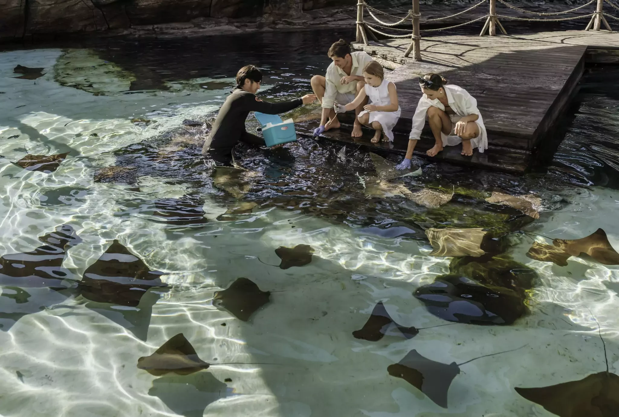 ray feeding experience