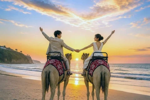 camel sunset ride
